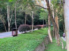 -火炉山森林公园