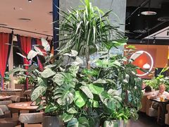 -半秋山西餐厅(巴南万达广场店)