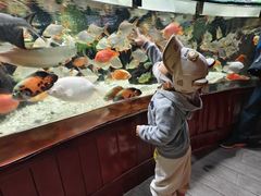 -太平洋海底世界