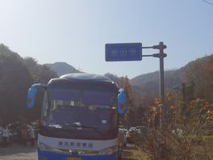 -素山寺森林公园