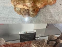 -中国西峡恐龙遗迹园