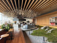 -Seesaw Coffee(朝阳大悦城店)