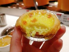 -龍歌自助小火锅(李沧顺和汇店)