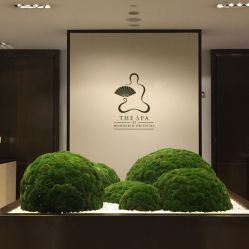 -广州文华东方酒店·水疗中心