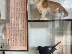 -上海鲁迅故居