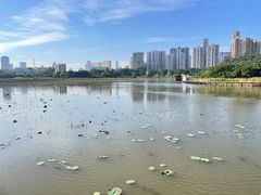 -龙环葡韵住宅式博物馆