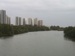 -大亚湾红树林城市湿地公园