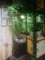-藤野造型·专业烫染店