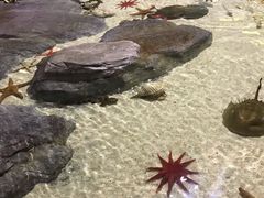 -福州罗源湾海洋世界旅游区