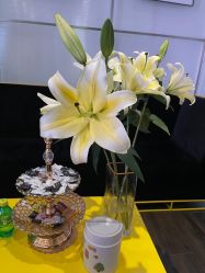 -崇尚GAVIN STYLE臻选