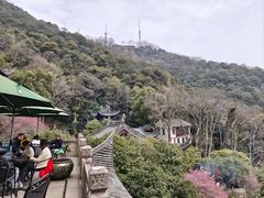 -韬光茶庵