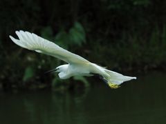 -新江湾城公园