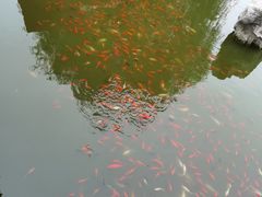 -中国翰园碑林