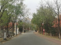 -北京凤凰岭
