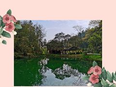 -常德桃花源景区