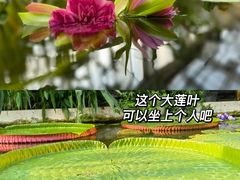 -国家植物园
