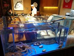 -千代武日本料理(爱建店)