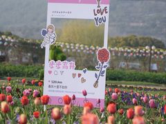 -苏州太湖西山岛开心农场