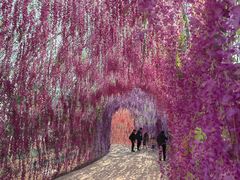 -歌斐颂巧克力小镇