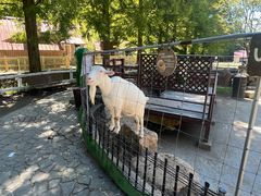 -神户市立六甲山牧场