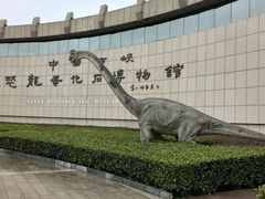-中国西峡恐龙遗迹园