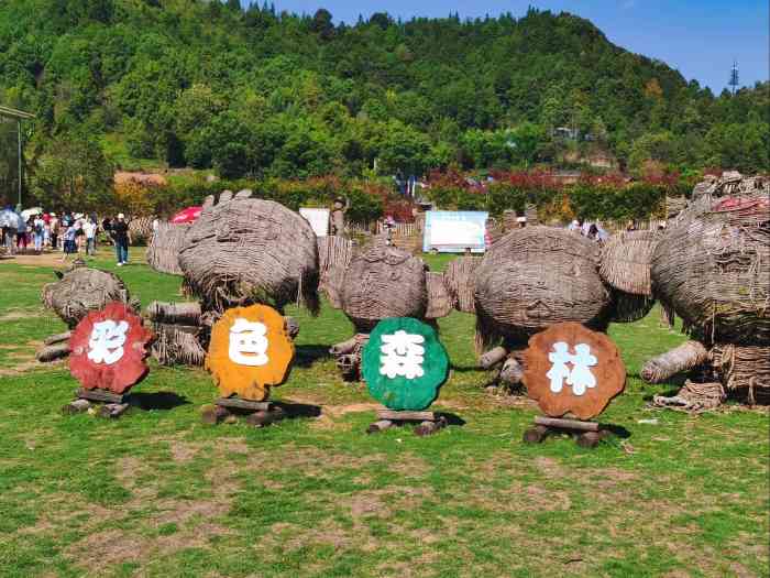 彩色森林-"交通:推荐跟着导航自驾前往,可以先在丰盛.