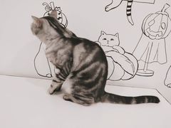 -白夜2D咖啡馆
