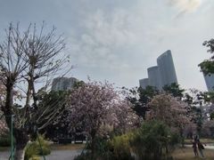 -洲头咀公园