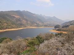 -广州市流溪河国家森林公园