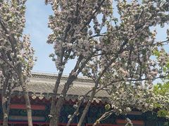 -保定直隶总督署博物馆