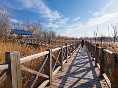 -野鸭湖国家湿地公园