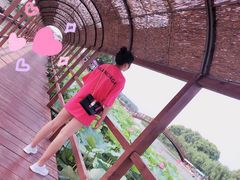 -白洋淀景区