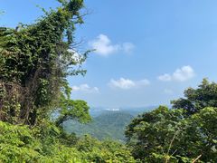 -黄埔油麻山森林公园