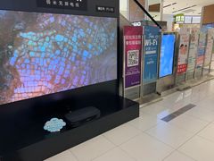 -远洋未来广场(育慧北路店)