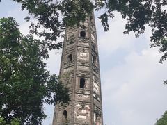 -上海佘山国家森林公园天马山园