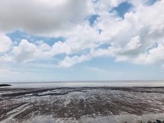 -奉贤海滩
