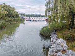 -大兴滨河森林公园