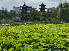 -迎泽公园