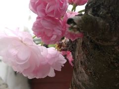 -文昌阁