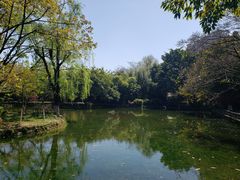 -望江楼公园