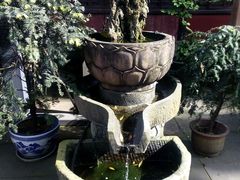-峨眉山报国寺