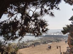 -青岛海滨风景区