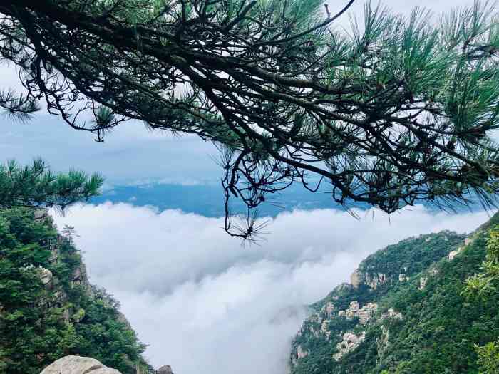 锦绣谷风景区-"锦绣谷是庐山旅游西线景点之一,坐小巴有站.