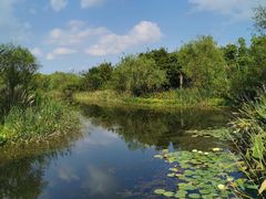 -上海长兴岛郊野公园