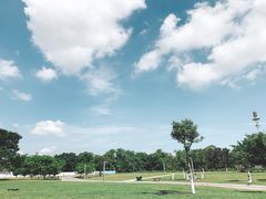 -万绿园