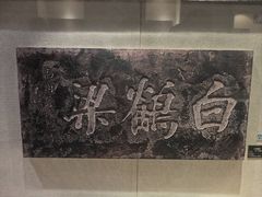 -白鹤梁水下博物馆