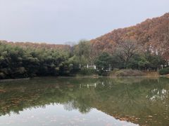 -河南省黄河迎宾馆