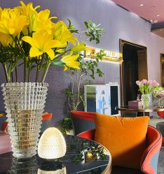 -花隐·美芙炫海菲秀皮肤管理中心