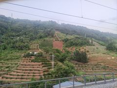 -珠江夜游西堤码头