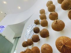 -蔻蔻椰·鲜萃椰子水(欢乐港湾店)